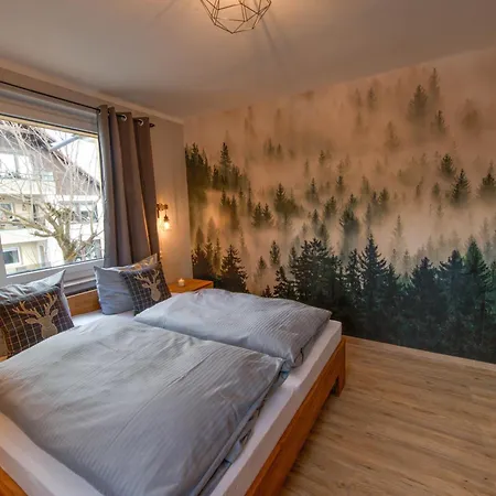 Auszeit-im-harz Haus 3 3 Lägenhet *